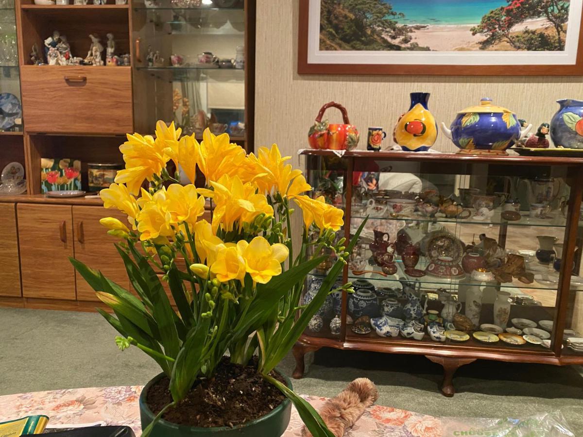 Green Garden Home 旺阿雷 外观 照片